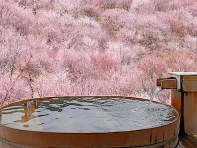 onsen eye catch