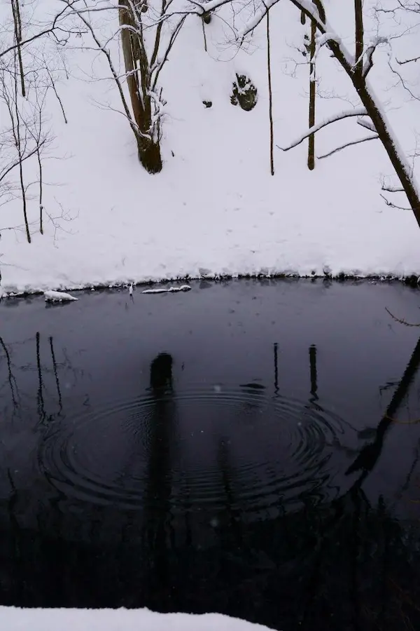 Aoike_winter